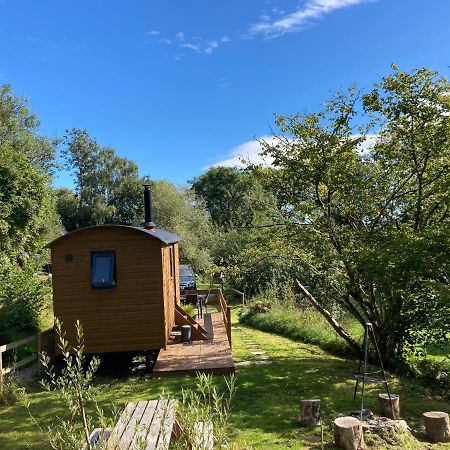 אקסטר Herdwick Shepherd Hut מראה חיצוני תמונה