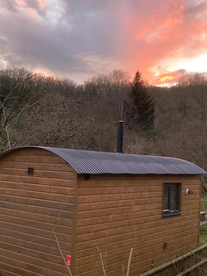 אקסטר Herdwick Shepherd Hut מראה חיצוני תמונה